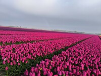 IMG_20250421_082429