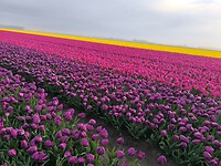 IMG_20250421_082628