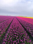 IMG_20250421_083241