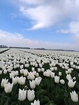 IMG_20250421_090849