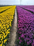 IMG_20250421_093911
