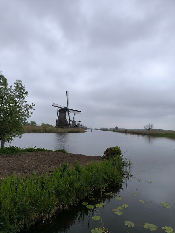 IMG_20250422_112426