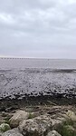 VID_20250429_102554