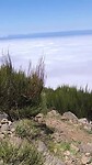 VID_20250427_154708