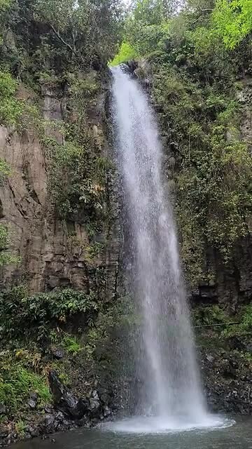 VID_20250427_141105