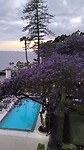 VID_20250426_205154