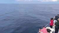 VID_20250426_120539
