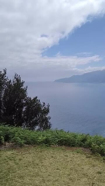 VID_20250425_121337