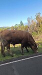 VID_20250425_111940