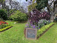 IMG_20250423_130003
