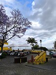 IMG_20250423_175904