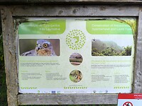 IMG_20250425_102742