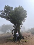 IMG_20250425_112645