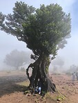 IMG_20250425_112714