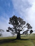 IMG_20250425_112947