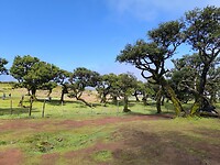 IMG_20250425_113020