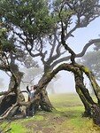 IMG_20250425_113256