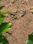 IMG_20250425_122428