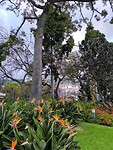 IMG_20250426_200158
