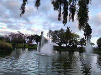 IMG_20250426_202452
