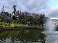 IMG_20250426_202501
