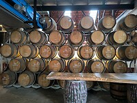 IMG_20250427_111945