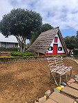 IMG_20250427_121015
