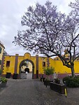 IMG_20250428_093224