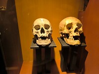 IMG_20250601_114419