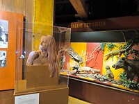IMG_20250601_120225