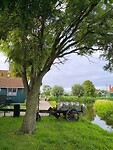 IMG_20250727_073058