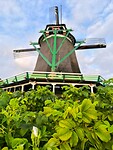 IMG_20250727_073717