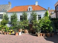 IMG_20250810_151629
