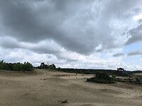 IMG_20250623_105117
