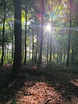 IMG_20250617_074737