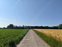 IMG_20250617_090753