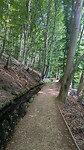 IMG-20250618-WA0009