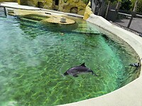 IMG_20250623_123236