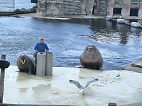 IMG_20250623_140025