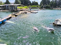 IMG_20250623_141852