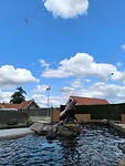 IMG_20250623_164213