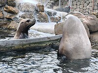 IMG_20250623_164333