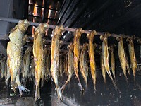 IMG_20250622_101317