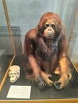 IMG_20250629_135238