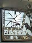 IMG_20250629_135853