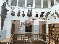 IMG_20250629_145634
