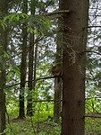 IMG_20250609_112015