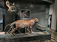 IMG_20250610_112420