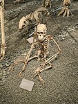 IMG_20250610_113214