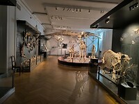 IMG_20250610_113256